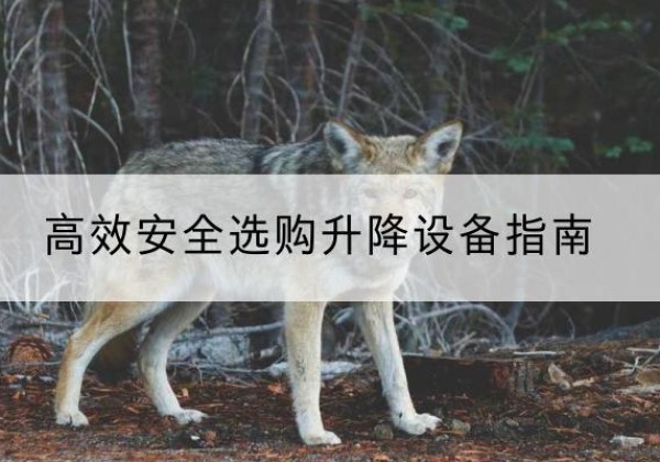 镜湖升降货梯厂家推荐-*安全选购升降设备指南