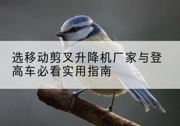 镜湖电动升降机厂家-选移动剪叉升降机厂家与登高车必看实用指南
