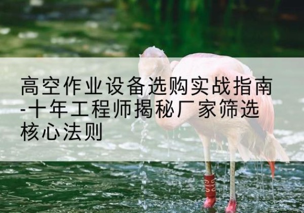 镜湖剪叉式升降机厂家-高空作业设备选购实战指南-十年工程师揭秘厂家筛选核心法则